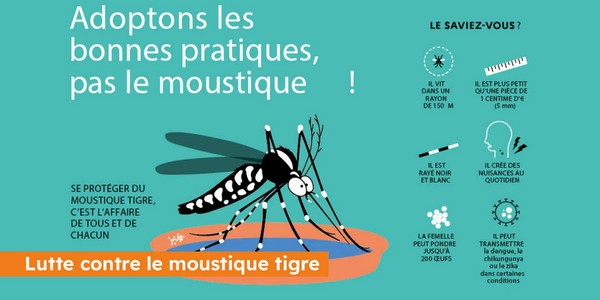 Moustiques tigres : agissons maintenant pour un été plus tranquille